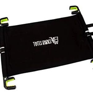 Totes Babies Car Seat Carrier